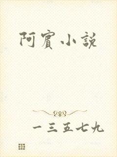 阿宾小说