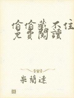 偷偷藏不住小说免费阅读