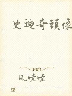 史迪奇头像封面