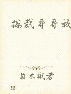 总裁哥哥放过我封面