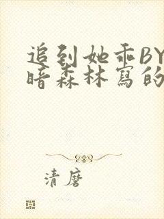 追到她乖BY黑暗森林写的小说