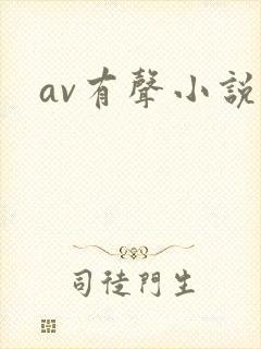 av有声小说