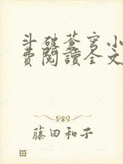 斗破苍穹小说免费阅读全文无弹窗封面