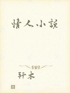 情人小说