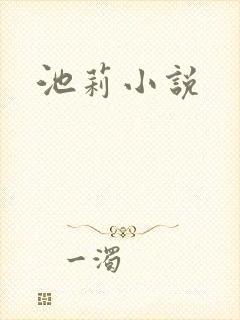 池莉小说