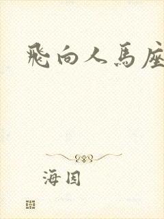 飞向人马座封面