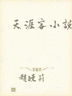 天涯客小说封面