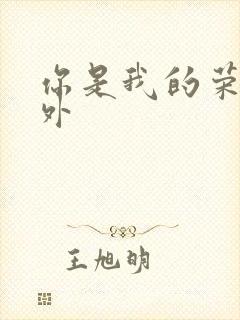 你是我的荣耀番外