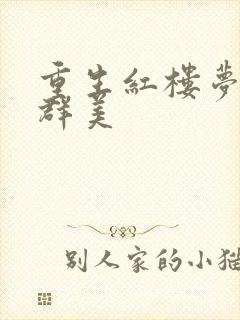 重生红楼梦之御群美