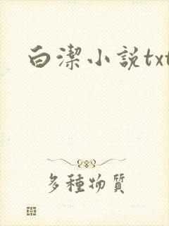 白洁小说txt