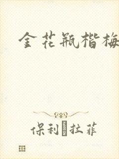金花瓶楷梅花封面