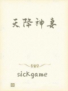 天降神妻封面