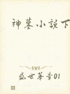 神墓小说下载