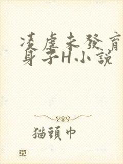 凌虐未发育的小身子H小说