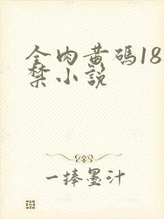 全肉黄码18无禁小说