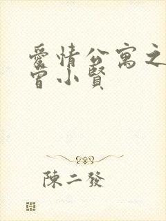 爱情公寓之极品曾小贤