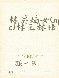 林府嫡女(npc)林玉林璋