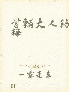 首辅大人的小青梅封面