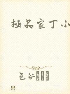 极品家丁小说封面