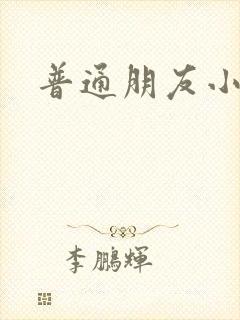 普通朋友小说