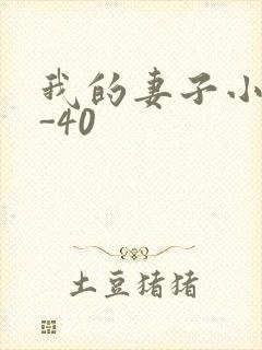 我的妻子小谨1-40
