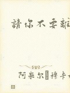 请你不要离开我