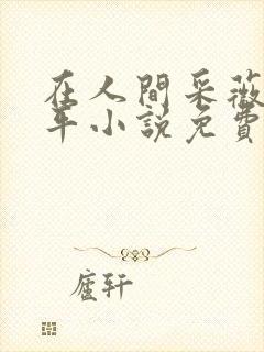 在人间采薇陆三平小说免费阅读封面