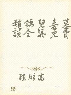 赵锦儿秦慕修小说全集免费封面