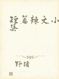 短篇辣文小说合集封面