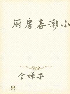 厨房春潮小说封面