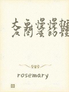 大龟慢慢挺进女友闺蜜的体内视频封面