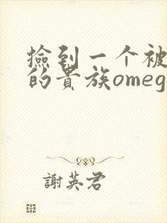 捡到一个被抹布的贵族omega