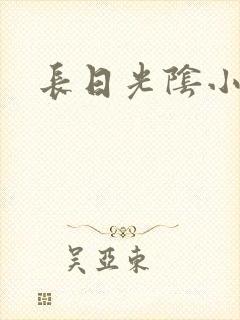 长日光阴小说