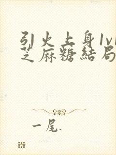 引火上身1v1芝麻糖结局封面