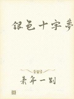 银色十字梦封面