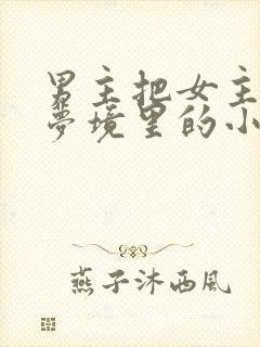 男主把女主拖进梦境里的小说