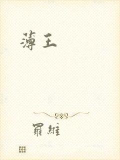 薄王封面