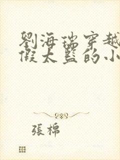 刘海瑞穿越后宫假太监的小说