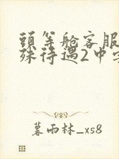 头等舱客服的特殊待遇2中字