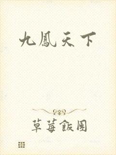 九凤天下封面