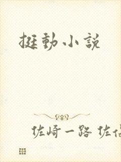 挺动小说