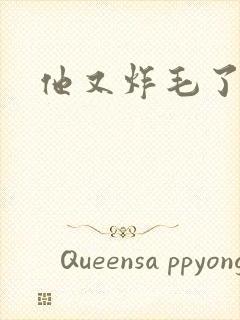 他又炸毛了封面