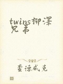 twins柳泽兄弟