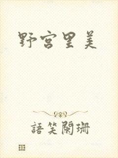 野宫里美封面