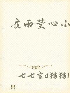 夜雨莹心小说封面