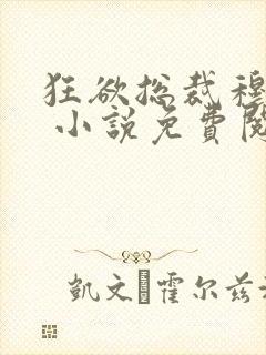 狂欲总裁穆非雪 小说免费阅读