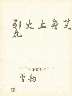 引火上身芝麻糖丸封面