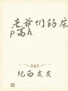 老爷们的床奴np高h