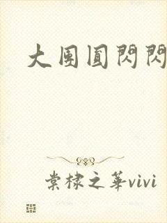 大团圆闪闪发光封面