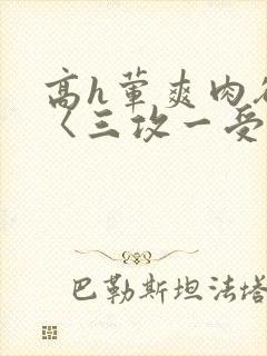 高h荤爽肉欲文〈三攻一受〉视频